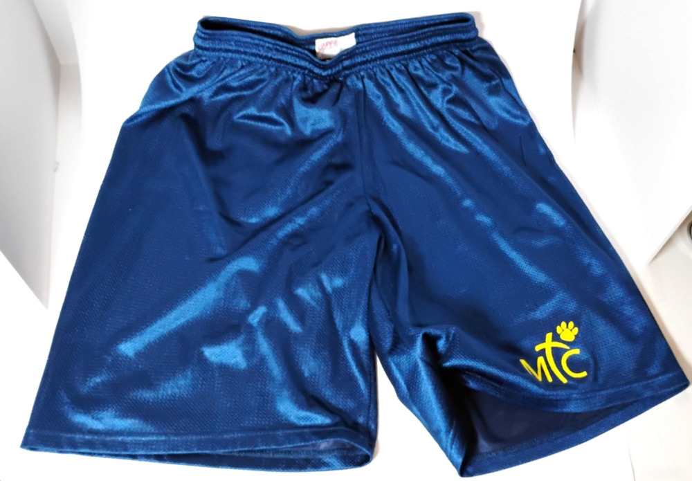 Soffe Youth XL Basketball Shorts Mesh Blue Elastic Waist MTC Logo